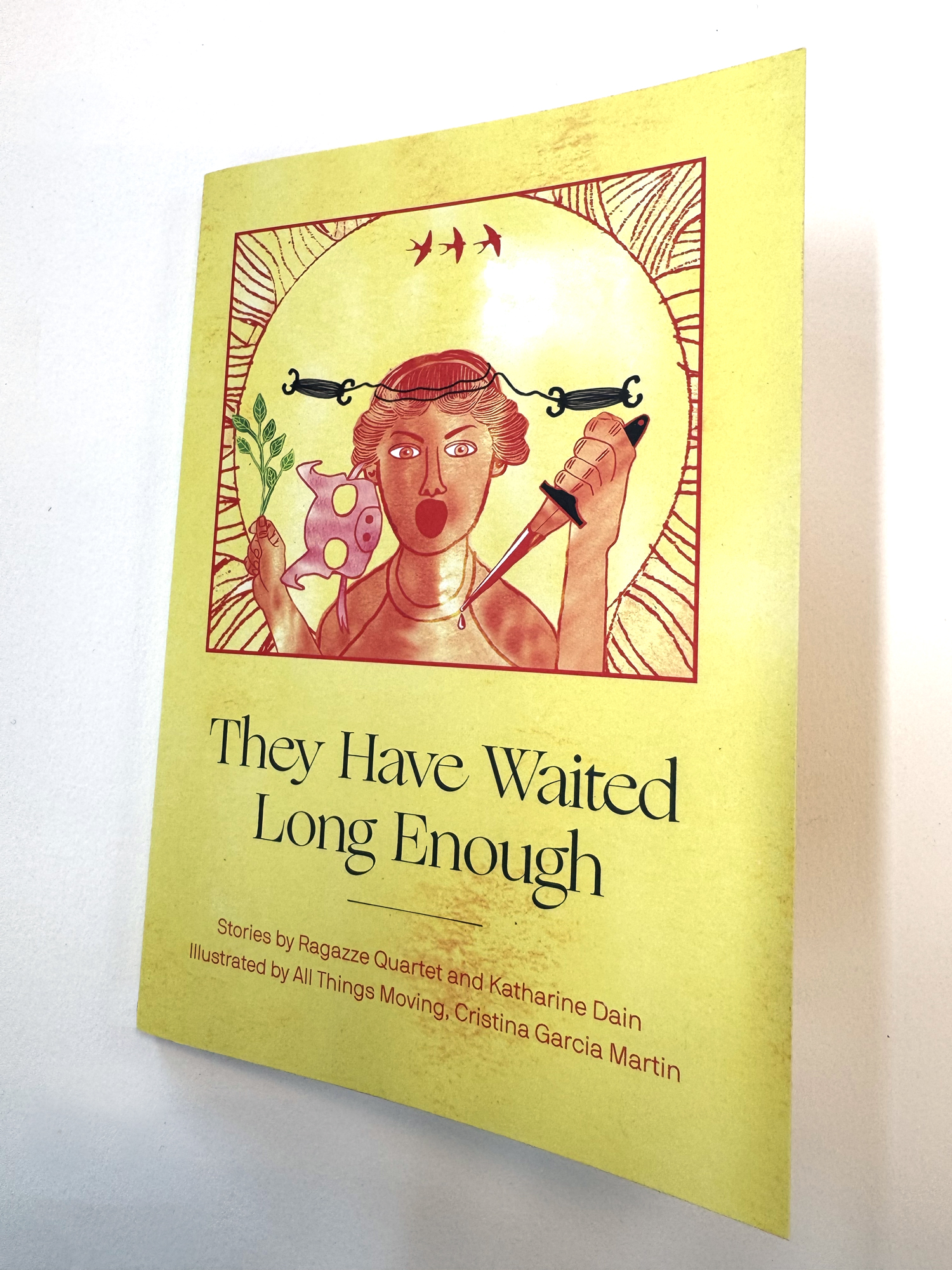 IMG_2420_cover_book